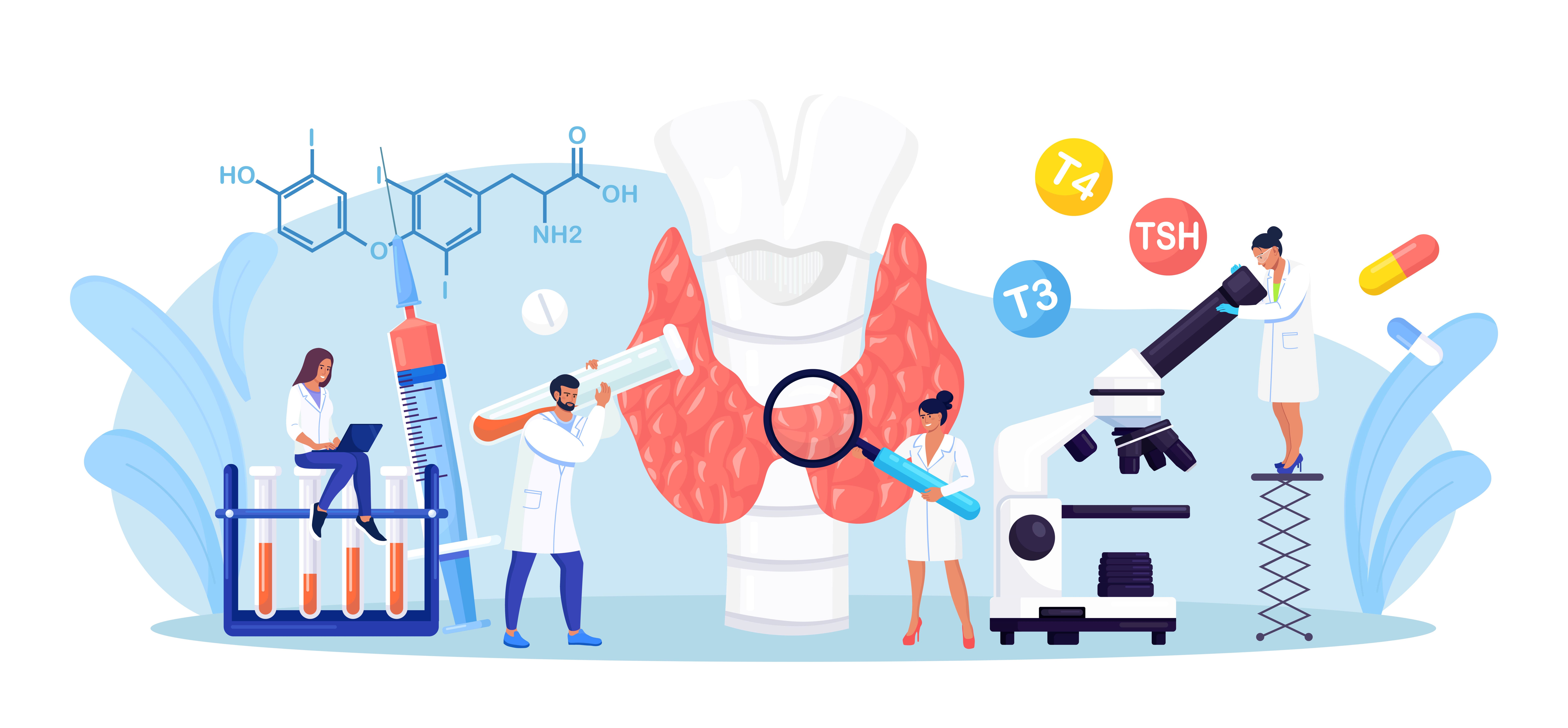 Endocrinologists diagnose and treat human thyroid gland. Doctors make blood test on hormones. Hypothyroidism, hyperthyroidism concept. Thyroid examination. Health and medical treatment